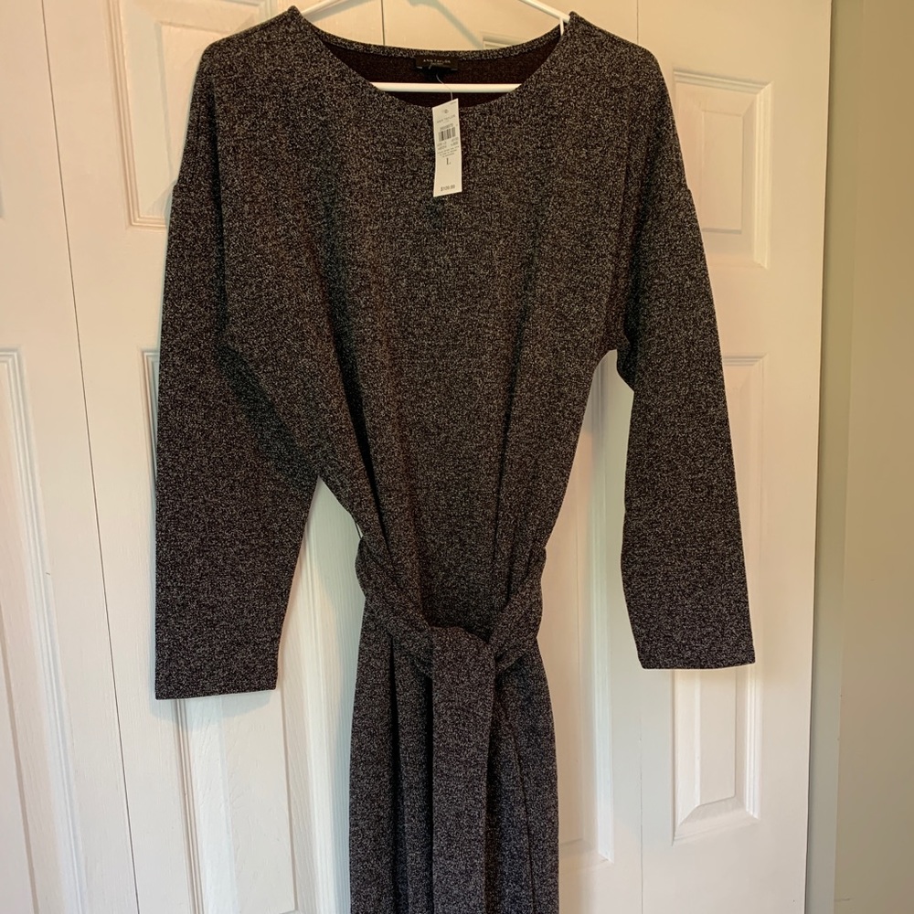 Ann Taylor Belted Dress Size Large - NWT